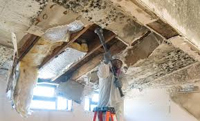 Mold Remediation for Vacation Homes in Mcleansboro, IL